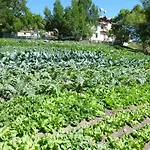 Farm stay Barba Gust Cesana Torinese