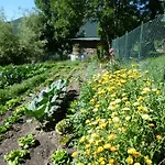 Barba Gust Farm stay Cesana Torinese