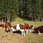 Barba Gust Farm stay *