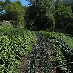 Barba Gust Farm stay *