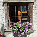 Barba Gust Farm stay Cesana Torinese