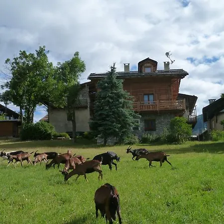 Barba Gust Cesana Torinese