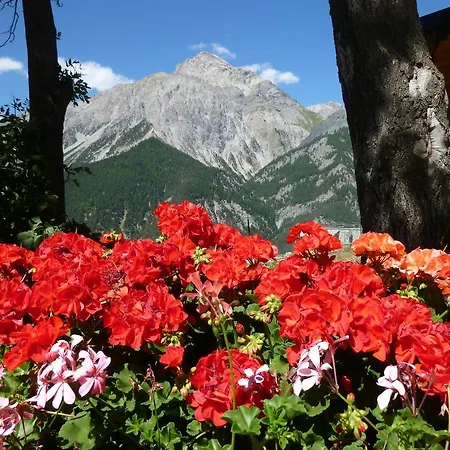 Barba Gust Alloggio per agriturismo