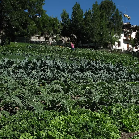 Barba Gust Cesana Torinese
