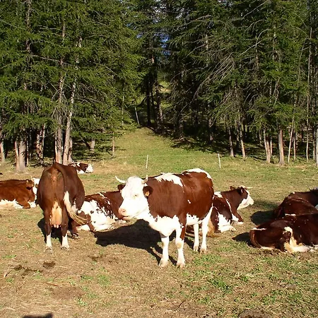 Barba Gust Alloggio per agriturismo *