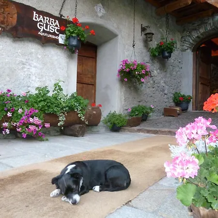 Barba Gust Alloggio per agriturismo *