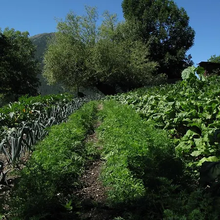 Barba Gust * Cesana Torinese