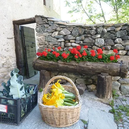 Barba Gust * Cesana Torinese