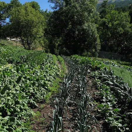 Barba Gust Farmház *