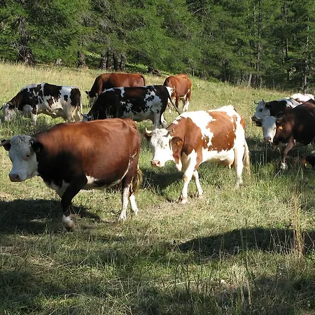 Farmház Barba Gust Cesana Torinese